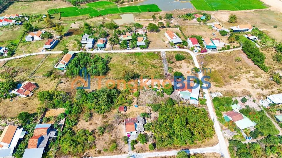 Đất Thổ Cư Ninh Xuân 114m² - Chỉ 450 Triệu, Sẵn Sổ Hồng, Vượng Khí