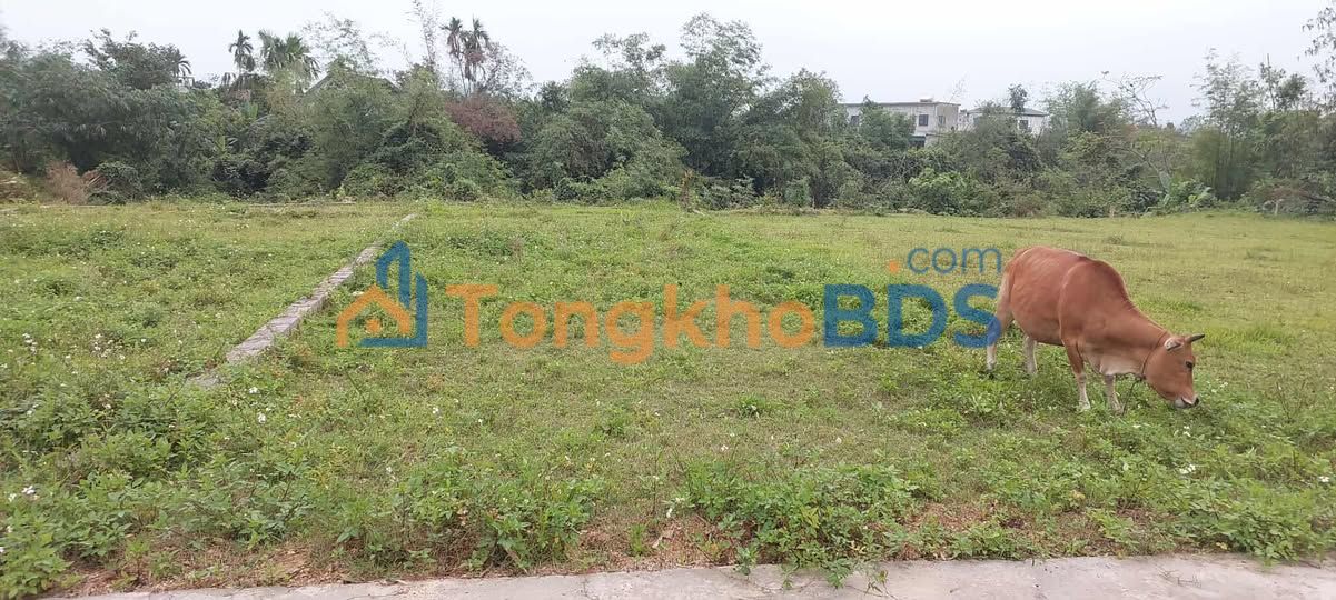 Bán Đất Thượng Lộc, Can Lộc: 140m² - Sổ Đỏ Rõ Ràng, Gần TT Xã