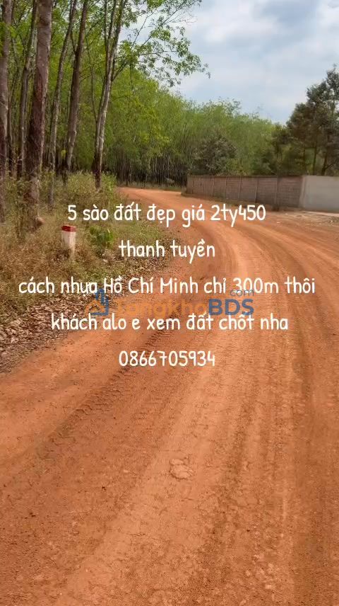 Bán Đất Vườn 5000m² Dầu Tiếng, Bình Dương - Giá 2.45 Tỷ