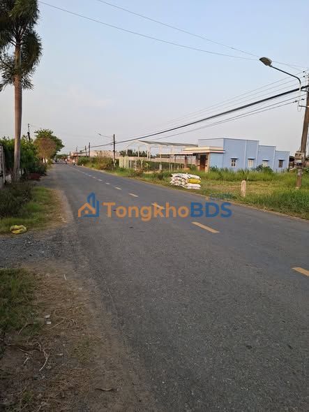 Bán Gấp Đất 6000m² Mặt Tiền Huyện Lộ 02, Tiền Giang - Giá 900 Triệu