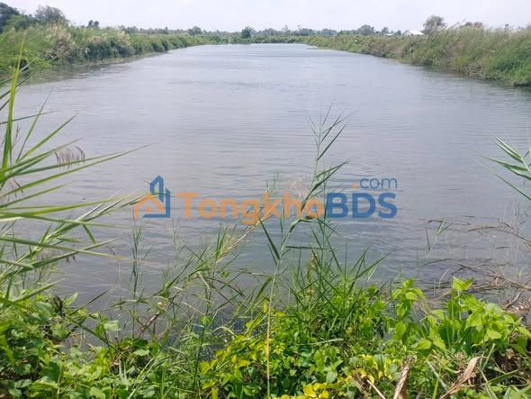 Cho thuê đất nông nghiệp 3600m² tại Vĩnh Châu, Sóc Trăng - Giá chỉ 9 triệu/năm