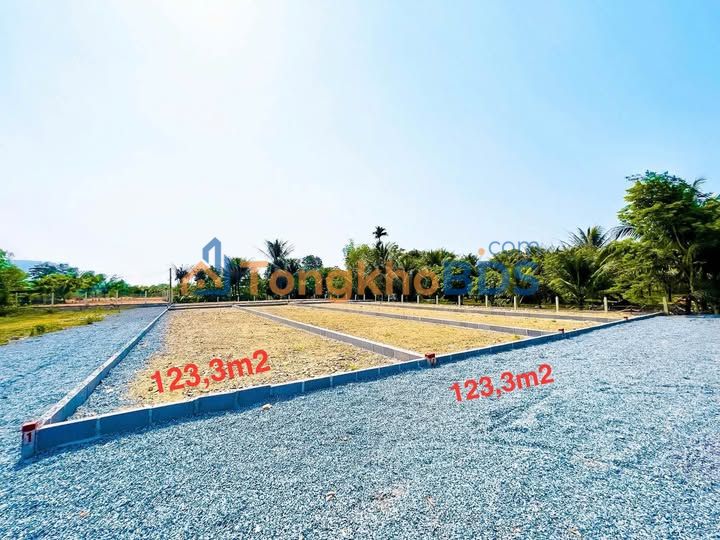 Bán Gấp 2 Lô Liền Kề Diên Khánh, Khánh Hòa - 123m²/lô, Chỉ 1.25 Tỷ/lô