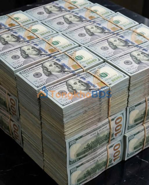 Đất Nền 10.000m² Mặt Sông Dầu Tiếng - Giá Thỏa Thuận