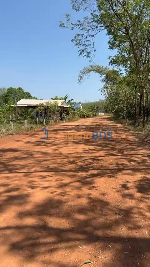 Bán Đất Nền 5000m² Huyện Dầu Tiếng, Bình Dương - Giá Tốt