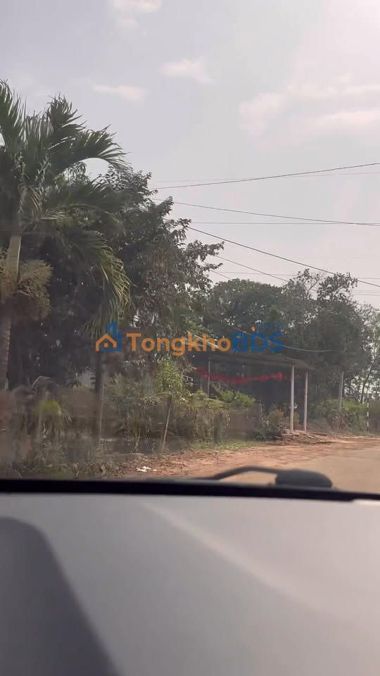 Bán Đất Vàng Huyện Dầu Tiếng 300m² - Sổ Hồng Thổ Cư Sẵn Sàng