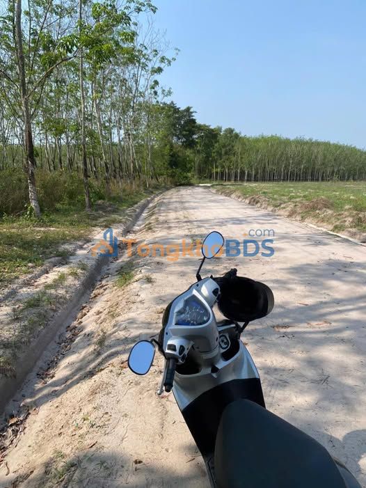 Bán Đất Vườn Long Hoà, Dầu Tiếng 6900m² - Sẵn Sàng Lên Thổ Cư