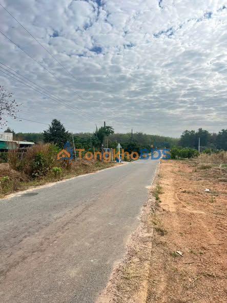 Đất Nền Dầu Tiếng, Bình Dương - 220m² Sổ Hồng Sẵn Sàng