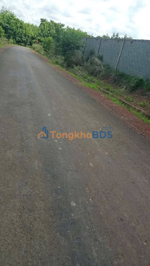 Đất Lộc Khánh, Bình Phước 660m² Mặt Tiền Đường Nhựa - Giá 590 Triệu