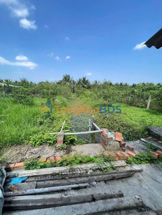 Đất Vườn 1000m² Mặt Tiền Bình Lợi 1, Q7 - Giá 1.3 Tỷ