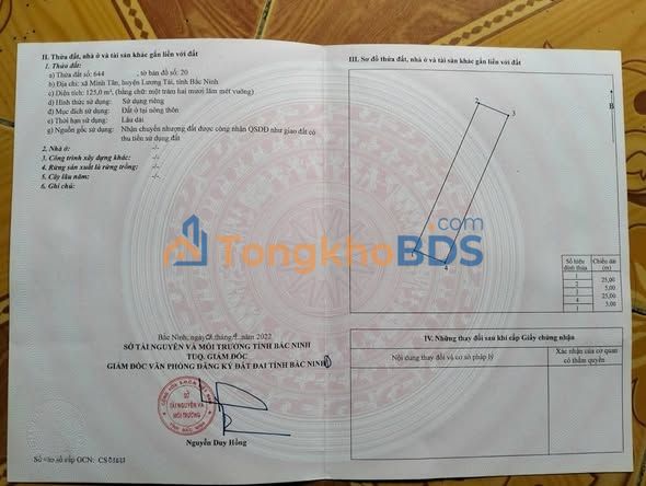 Đất nền Minh Tân Lương Tài 125m² - Sổ đỏ chính chủ, gần trường học