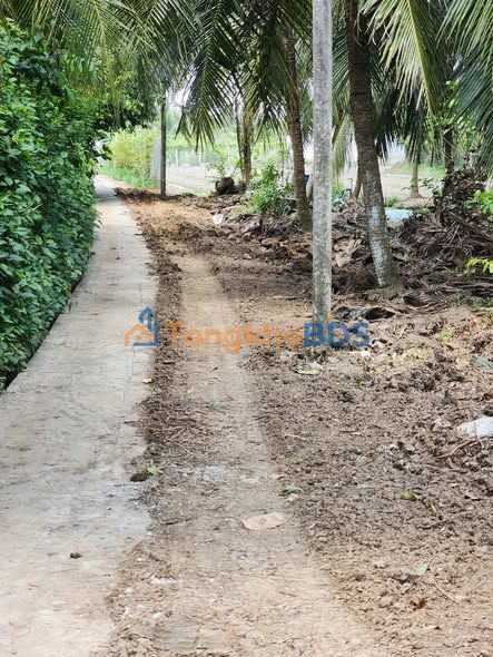 Bán Đất Thổ Cư Trung An 80m² - Giá Chỉ 4xx Triệu - Oto 7 Chỗ Vào Thoải Mái