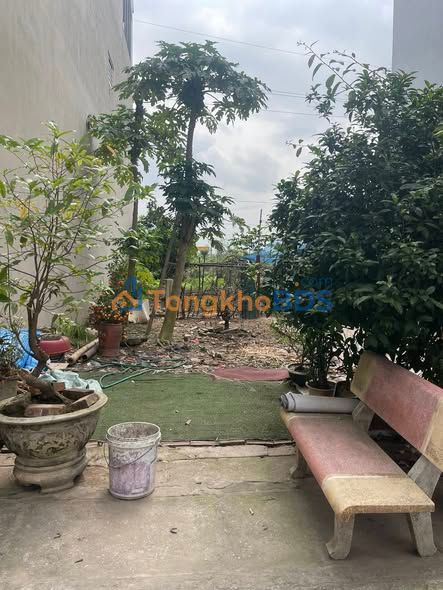 Đất Nền Phúc Am 60.5m² - Sổ Đỏ Sẵn Sàng Giao Dịch, Giá 7 Tỷ