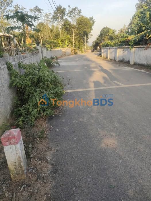 Đất Nền 300m² Thổ Cư, 2 Mặt Tiền Đường Apfan - Nho Quan, Ninh Bình