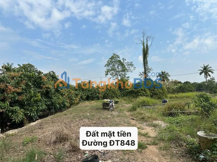 Bán Đất Mặt Tiền ĐT848 Sa Đéc 498m² - Lý tưởng Kinh doanh & Kho bãi