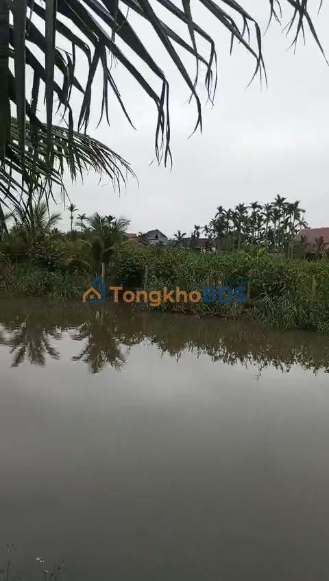 Đất nền Nam Định Đường 490 3.209m² 2 tỷ - Sổ đỏ chính chủ