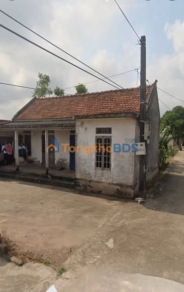 Bán Đất Tặng Nhà Cấp 4 Nghĩa Hưng, Nam Định - 246m² Giá Tốt