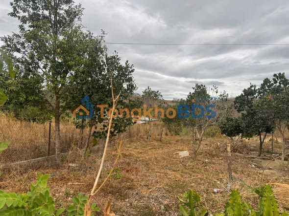 Bán Gấp Đất Thổ Cư 243m² Xã Đakblà, Kon Tum - Giá Đầu Tư 5xx Triệu