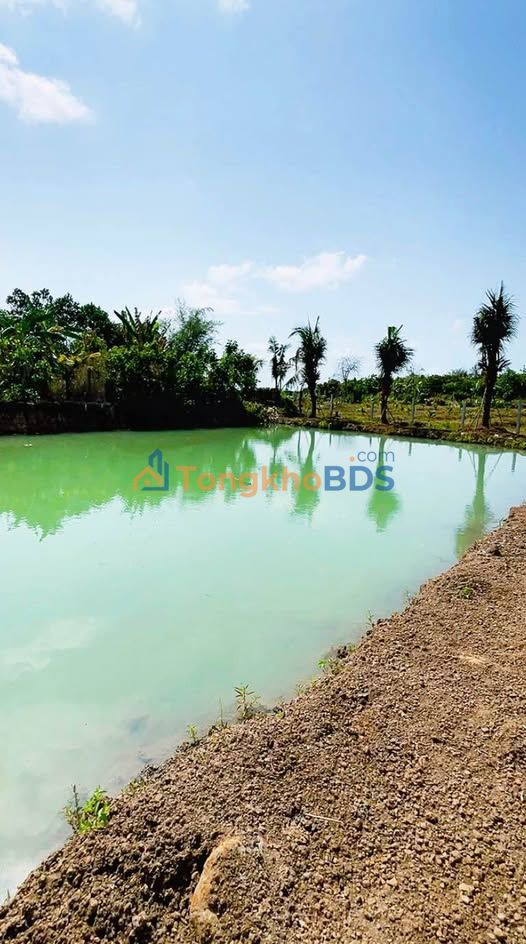 Đất Vườn 2300m² Mặt Tiền Nhựa - View Lúa Ao Cá Gần KCN Đất Đỏ, BRVT