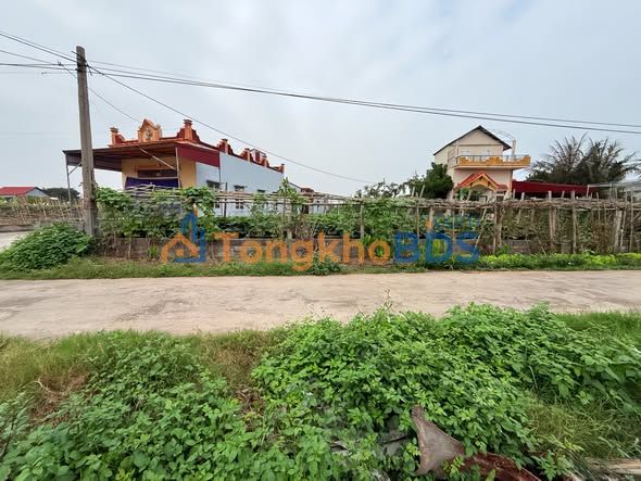 Bán Gấp Đất Nền Nghĩa Hưng, Nam Định - 350m² Thổ Cư, Sổ Đỏ Sẵn Sàng