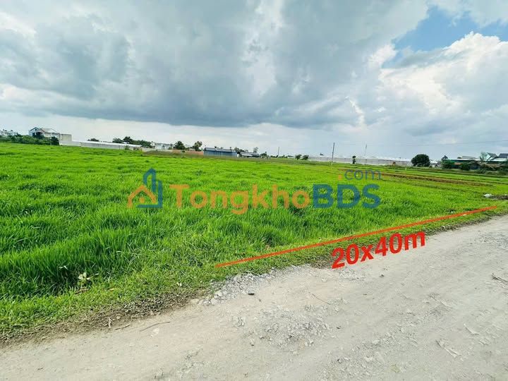 Đất nền Mỹ Hạnh Bắc, Đức Hòa 800m² 2.9 tỷ - Sổ đỏ chính chủ