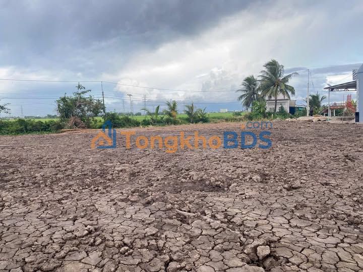 Đất Vĩnh Lợi, Bạc Liêu - 185m² Thổ Cư, Xe Hơi Tới Đất - 320 Triệu