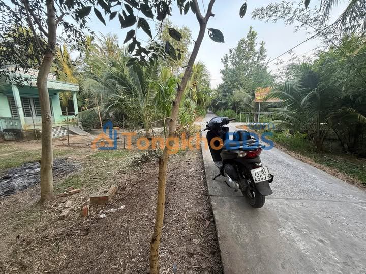 Đất Vườn 833m² - Xây Nhà, Trồng Trọt Ngay Tại Phú Khương, Bến Tre