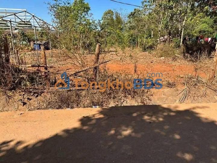 Đất thổ cư 480m² mặt tiền đường chính Ia Khươl, Gia Lai - Giá tốt đầu tư