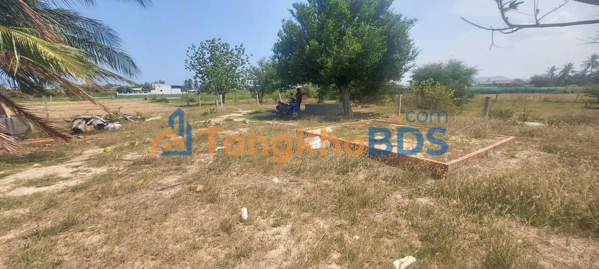 Bán Gấp 3600m² Đất Vườn Ninh Phước - Sổ Đỏ Sẵn Sàng