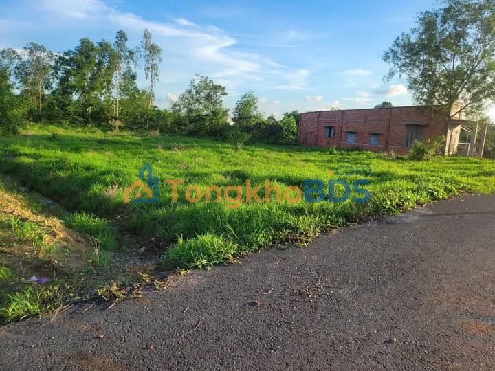 Đất Vườn Nghỉ Dưỡng Xuyên Mộc 2000m² - Sổ Hồng Sẵn Sàng