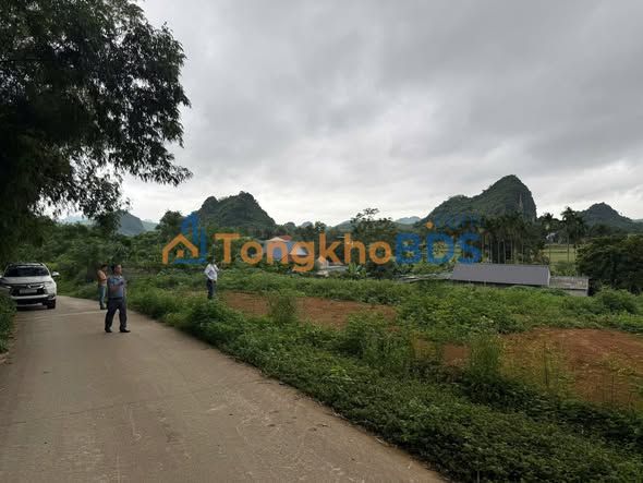 Đất nền Cao Dương Lương Sơn 1.136m² 3,4 tỷ - Sổ đỏ chính chủ