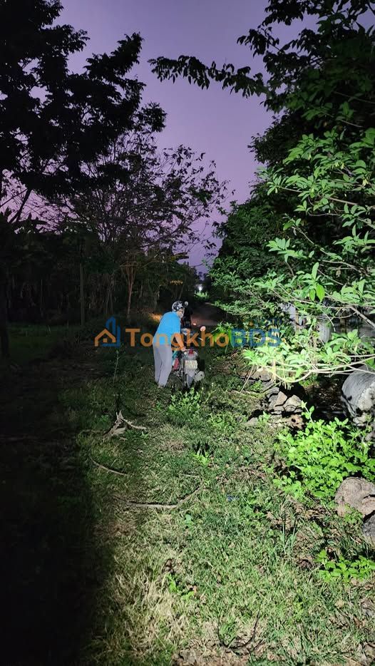 Đất Vĩnh Cửu, Đồng Nai 2300m² - Sổ Hồng Sẵn Sàng - Giá 1.84 Tỷ