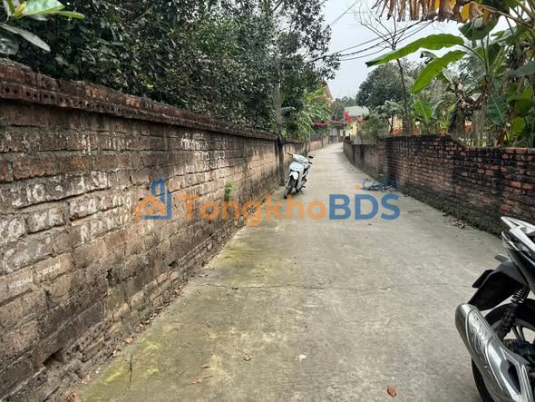 Bán đất Phú Thọ 160.4m² sổ đỏ chính chủ - Giá 1.6 tỷ