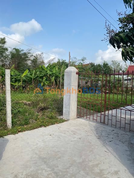 Đất Sổ Đỏ 198m² Hướng Đông Nam Gần Chợ Nghĩa Phú, Nam Định - Đầu Tư Sinh Lời