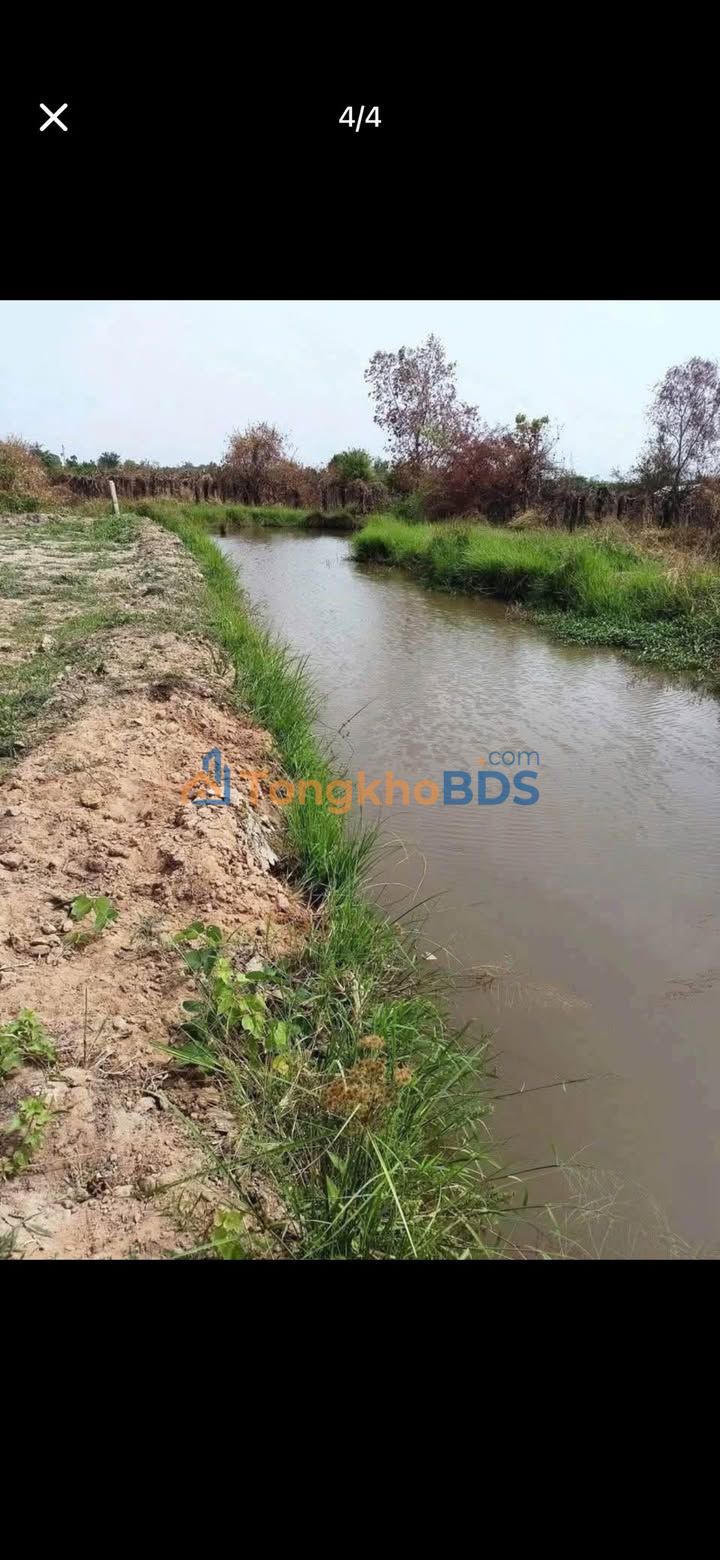 Đất Nền Hàm Thuận Bắc 1079m² - Giá Đầu Tư 550 Triệu