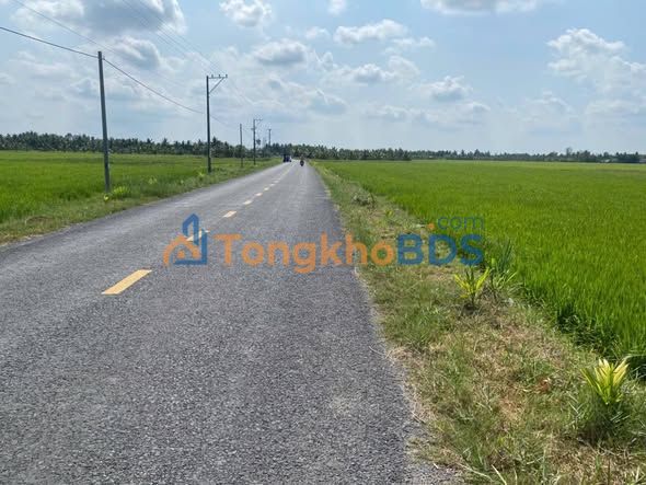 Đất Mặt Tiền Tỉnh Lộ 912 Trà Vinh 1599m² - Giá Đầu Tư 127 Tỷ