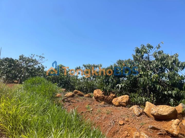 Đất Nền Lâm Đồng 3.8 Sào - Mặt Tiền Bê Tông 100m - Giá Tốt 1.2 Tỷ