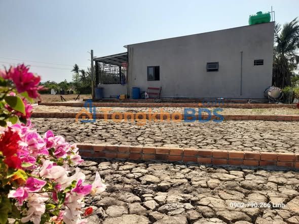 Đất Thổ Cư Sổ Hồng Xã Mỹ Lộc, Long An - 590 Triệu