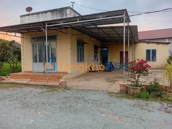 Đất Vườn 2000m² Có Sẵn Nhà P. Chợ Vĩnh Lộc, Bình Chánh - Giá 3.5 Tỷ