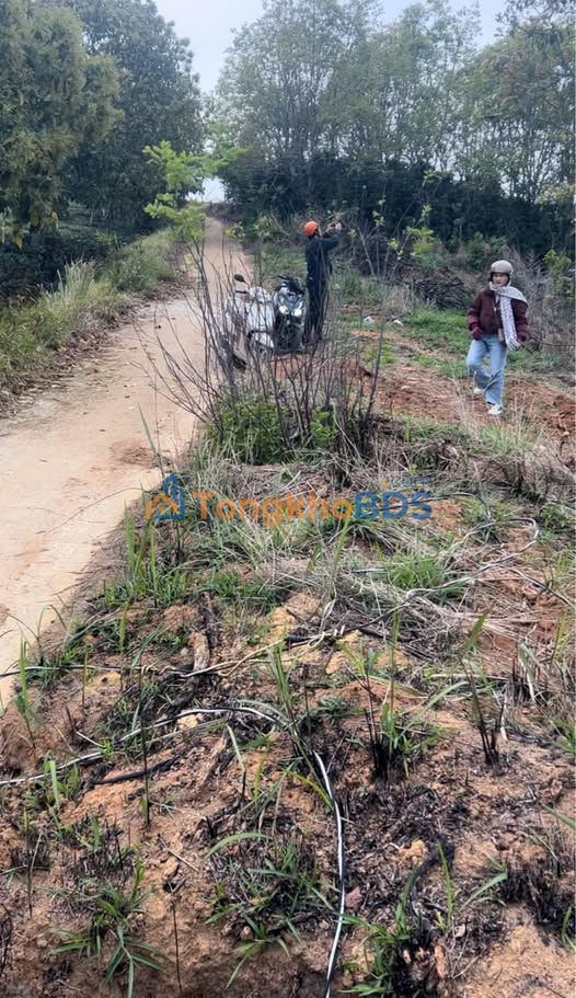 Đất nền Xuân Trường Đà Lạt 870m² 1,3 tỷ - Sổ đỏ chính chủ