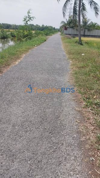 Đất vườn Sa Bình Long Đức 1.740m² - Nghỉ dưỡng lý tưởng