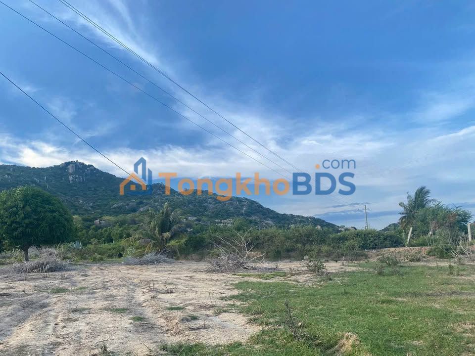 Đất Biển Mỹ Hòa – Ninh Thuận: 3499m² Mặt Tiền 33m – Giá Đầu Tư 3 Tỷ/1000m²