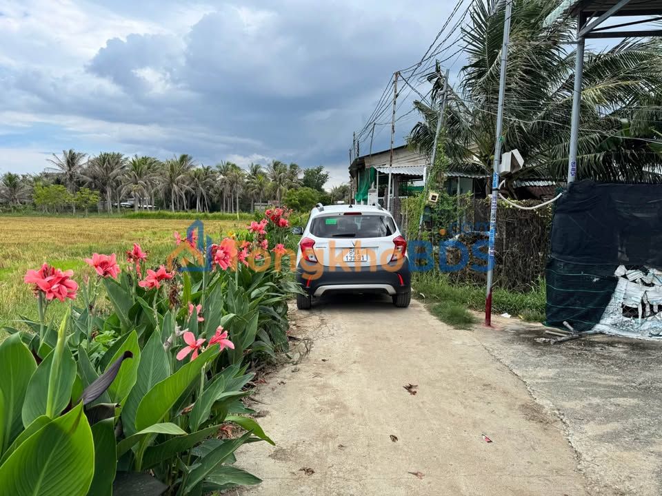 Đất Nền 2832m² Mặt Tiền Đường Bê Tông, Phan Rang - Sổ Đỏ Sẵn Sàng