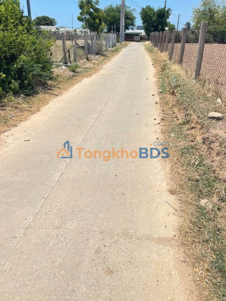 Bán Đất Vườn Ninh Thuận 1440m² Mặt Tiền Đường Giá 830 Triệu/Xào