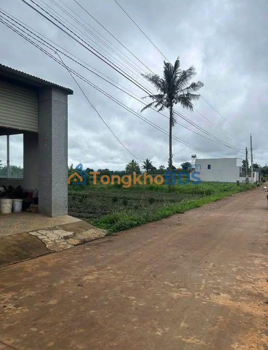 Đất Nền Đức Trọng 210m² - Sổ TC, Giá 1.55 Tỷ, Gần QL20