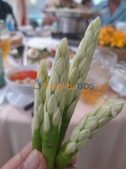 Đất nền Phường 8 Trà Vinh 95m² 410 triệu - Sổ đỏ chính chủ