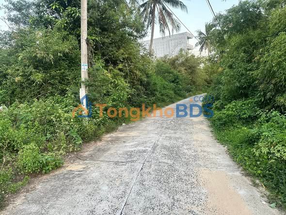 Đất Nền Mặt Tiền Lương Tấn Thịnh, Phú Yên - 192m² Sổ Đỏ Sẵn Sàng