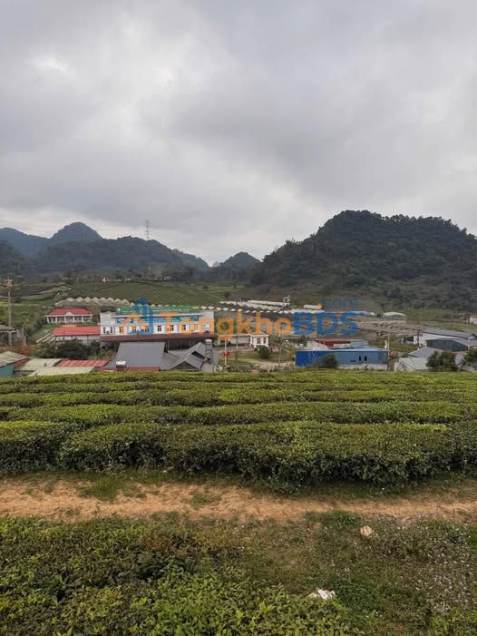 Đất nền TK66 Sơn La 130m² - View Hồ Thoáng, Giá 1.1 Tỷ