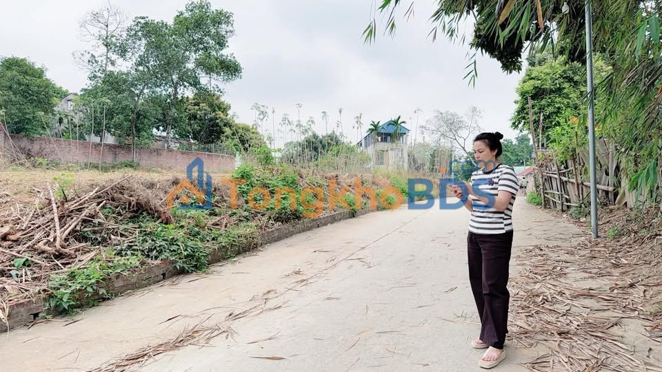 Bán Đất Nền 355m² TX Phú Thọ - Sổ Đỏ Rõ Ràng, Giá Tốt