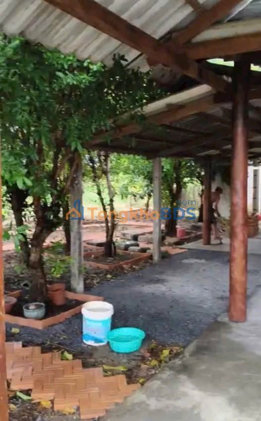 Nhà Vườn Long An 250m² - Giá 800 Triệu, View Kênh Mát Lạnh