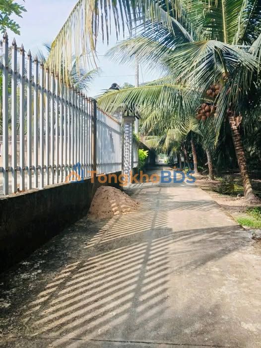 Bán Đất Nền P9 Mỹ Tho, Tiền Giang - 247m² Thổ Cư, Giá Tốt 650 Triệu